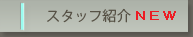 スタッフ紹介